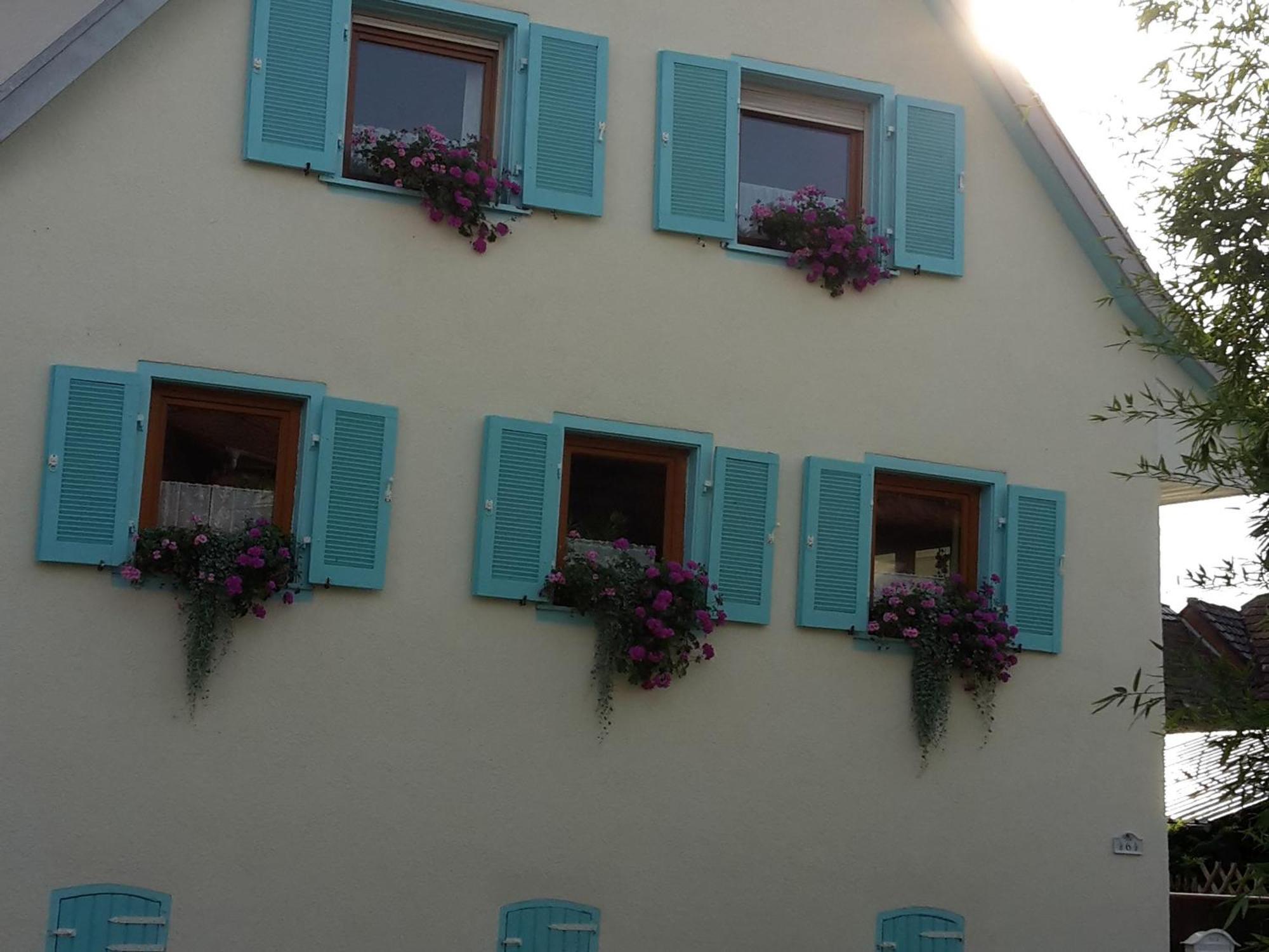 Rosenhof Broggingen Apartment Herbolzheim Exterior photo