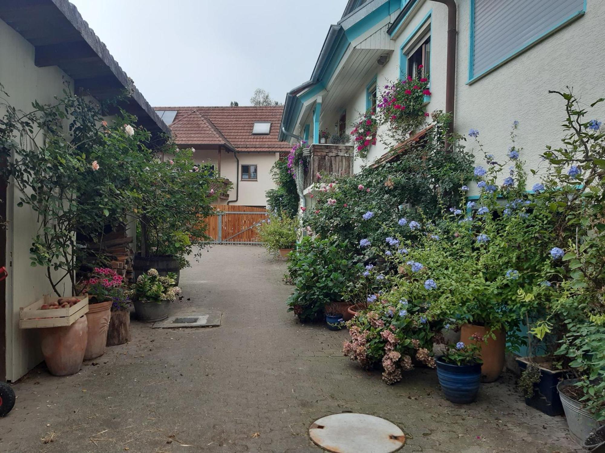 Rosenhof Broggingen Apartment Herbolzheim Exterior photo